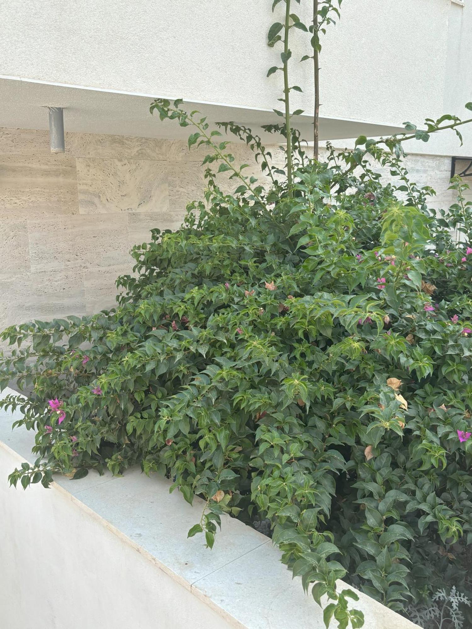 Vila Regina Apartment Paloma With Swimming Pool Jezera Exterior photo